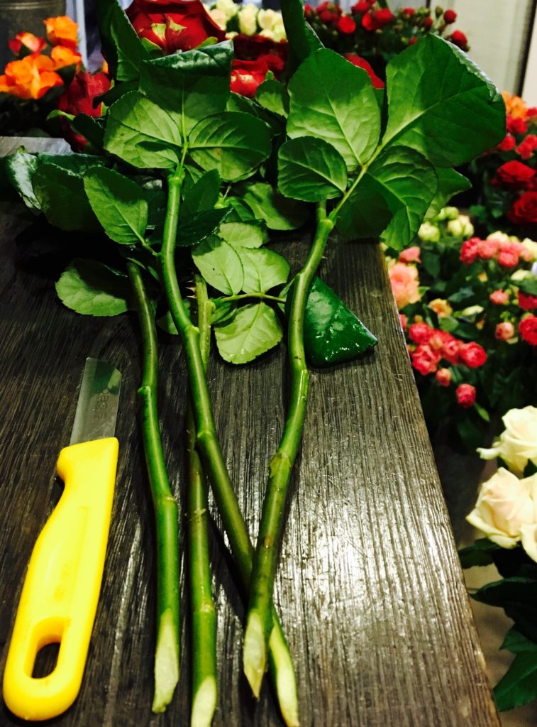 Róża gałązkowa - dekoracje ślubne poznań - blog o kwiatach