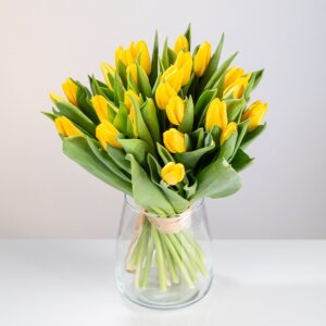 Bukiet 25 żółtych tulipanów