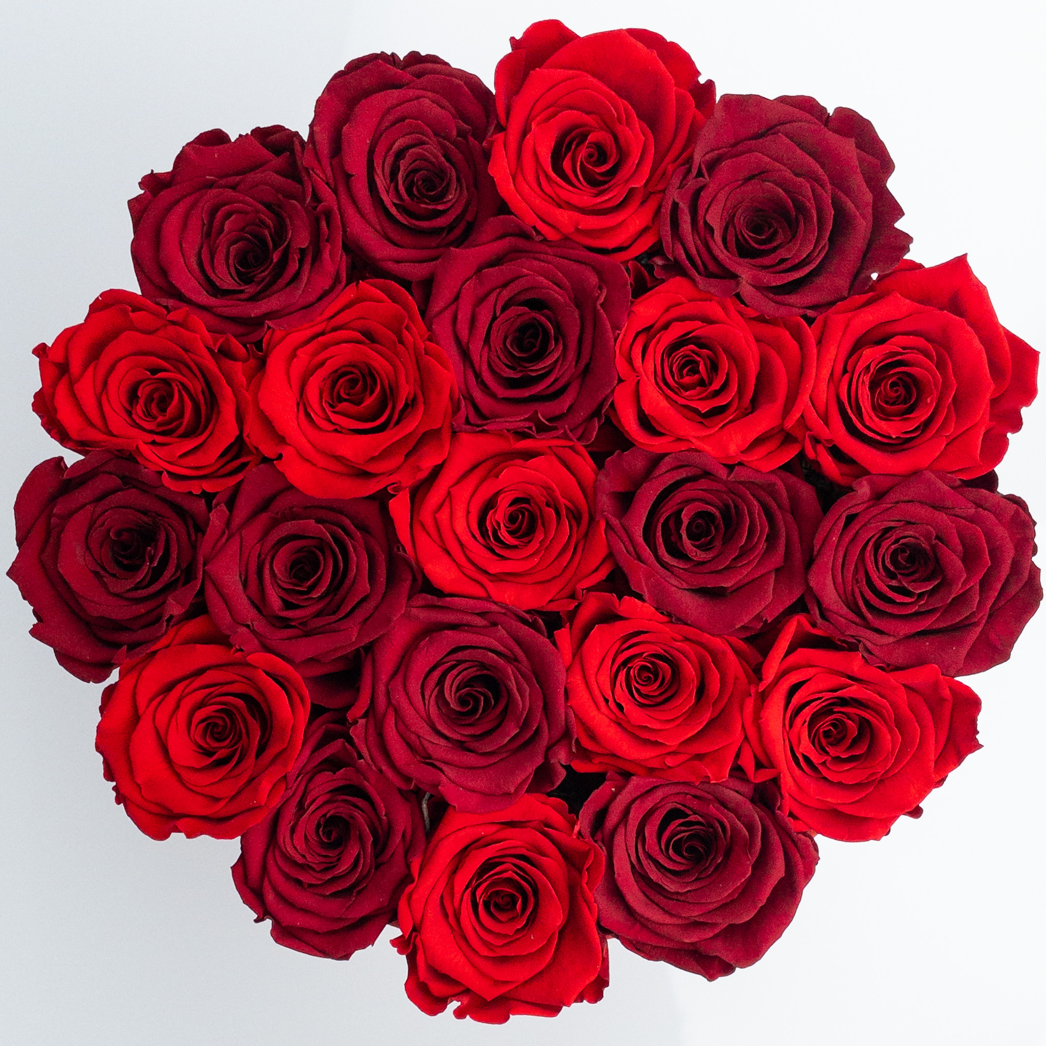 Czerwone wieczne róże w boxie XL