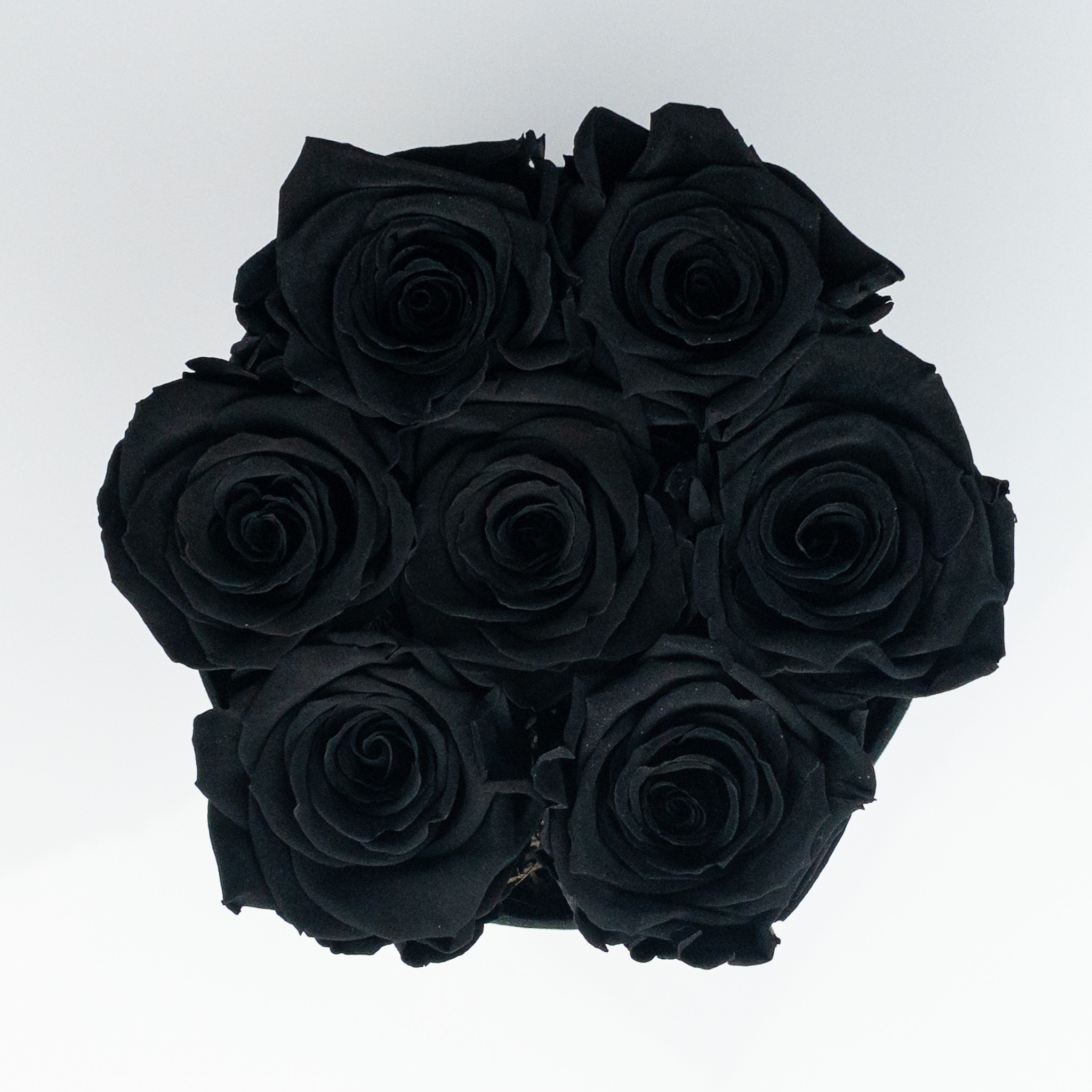 Czarne wieczne róże w średnim boxie.