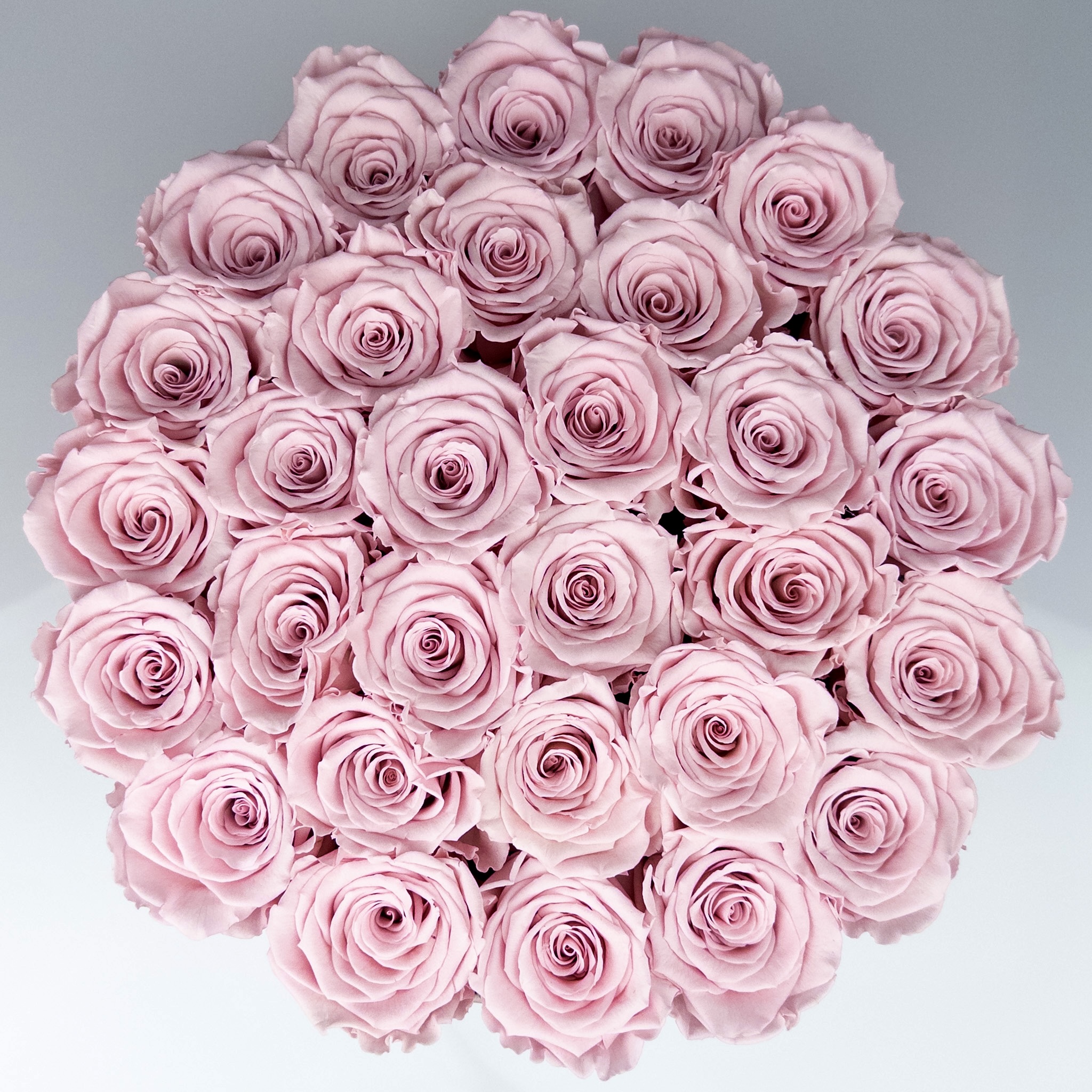 Różowe wieczne róże w boxie XXL