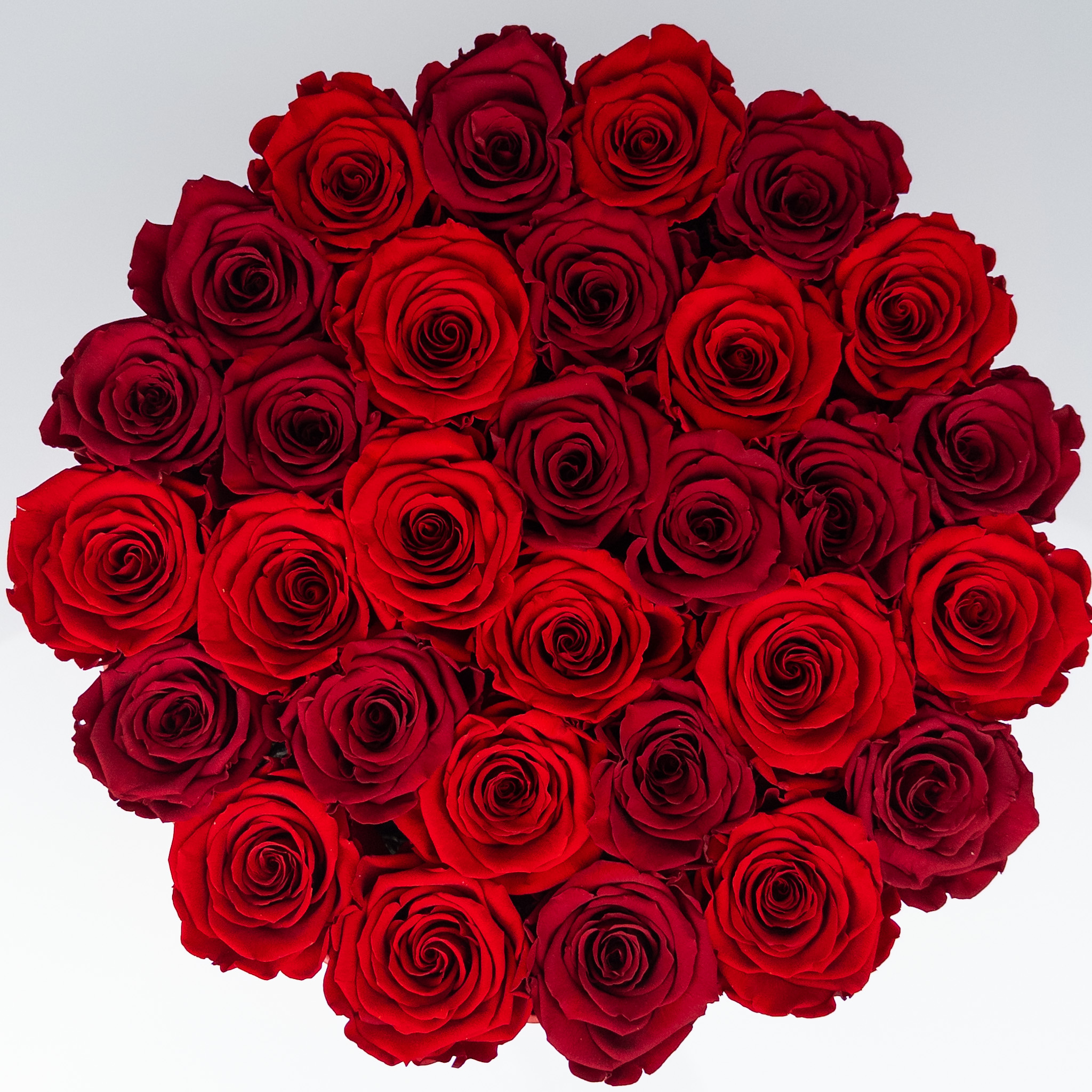 Czerwone wieczne róże w boxie XXL